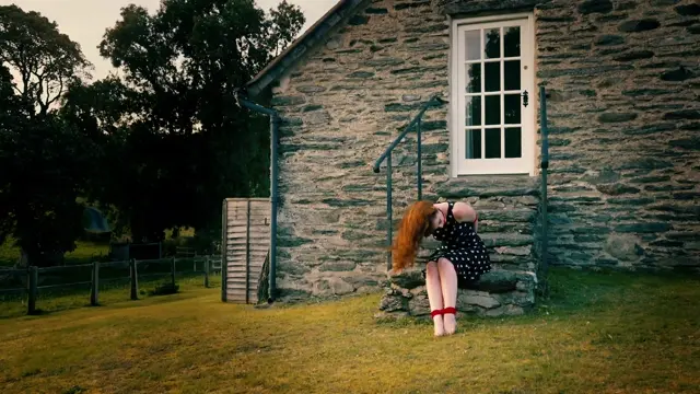 Poster: Sunset Damsel in Danger 4k