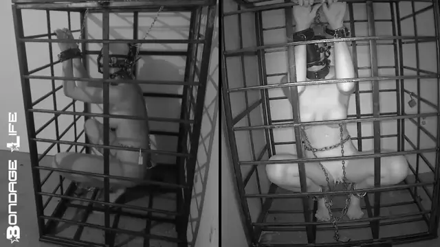 Poster: Bondage Life – More Storage Time For Greyhound