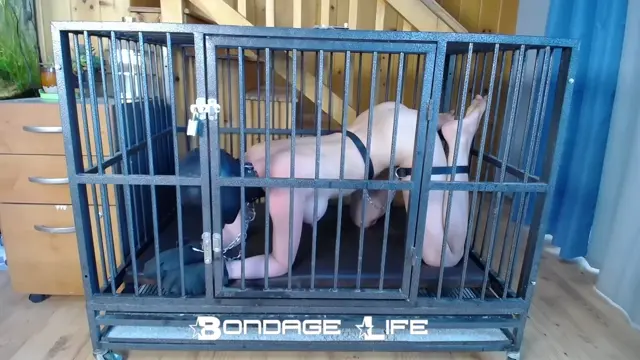 Bondage Life â€“ Cage Time With Clamps Rachel Greyhound BDSM porn videos -  bdsmup.net
