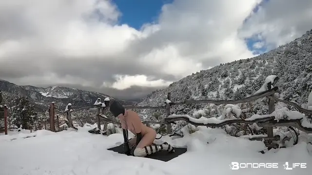 Poster: Lounging In The Snow